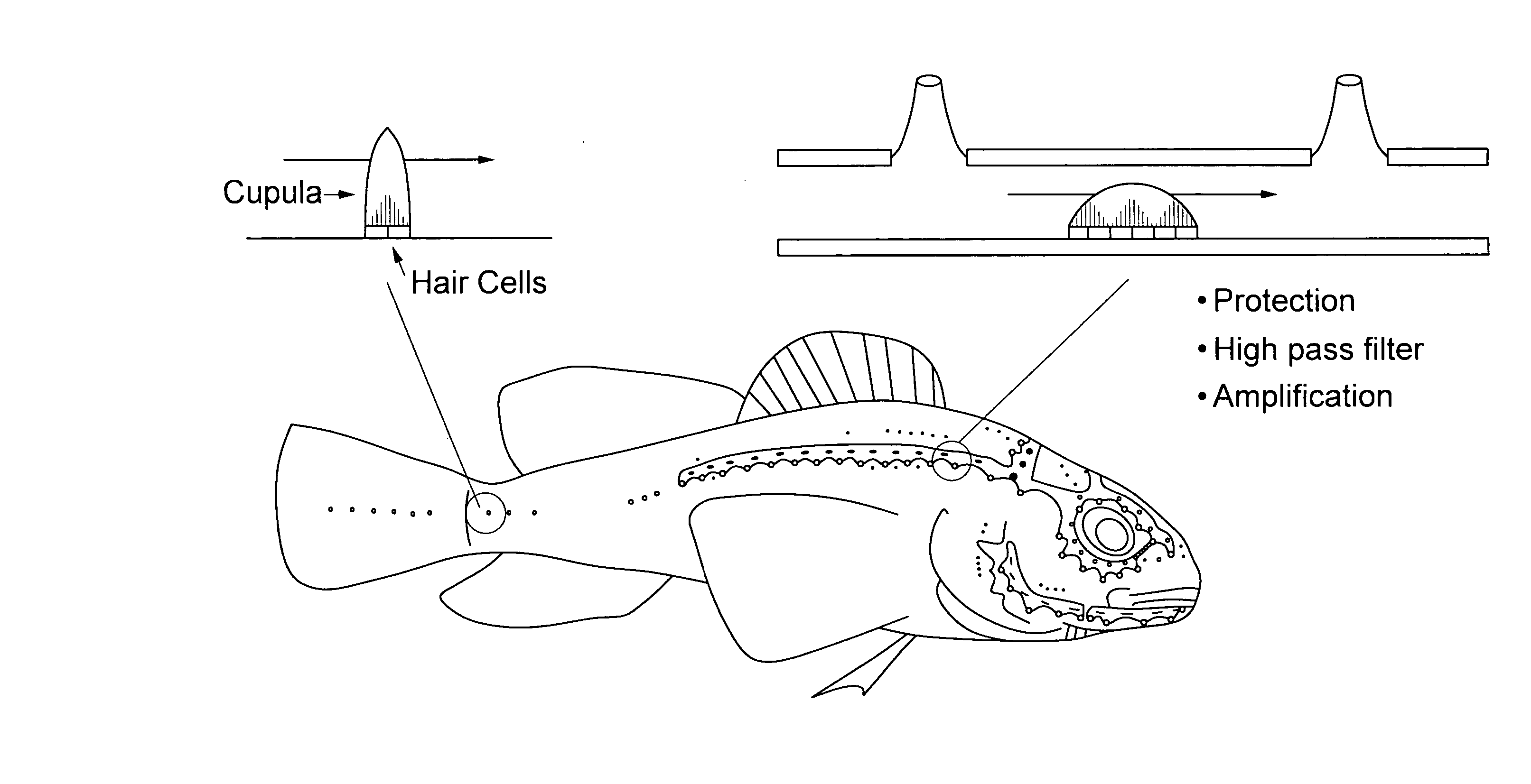 Artificial lateral line