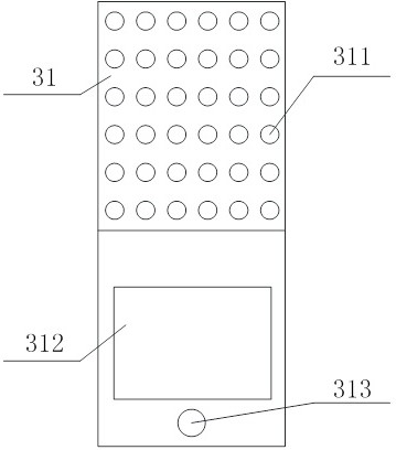 Fruit single conveying device for canning processing