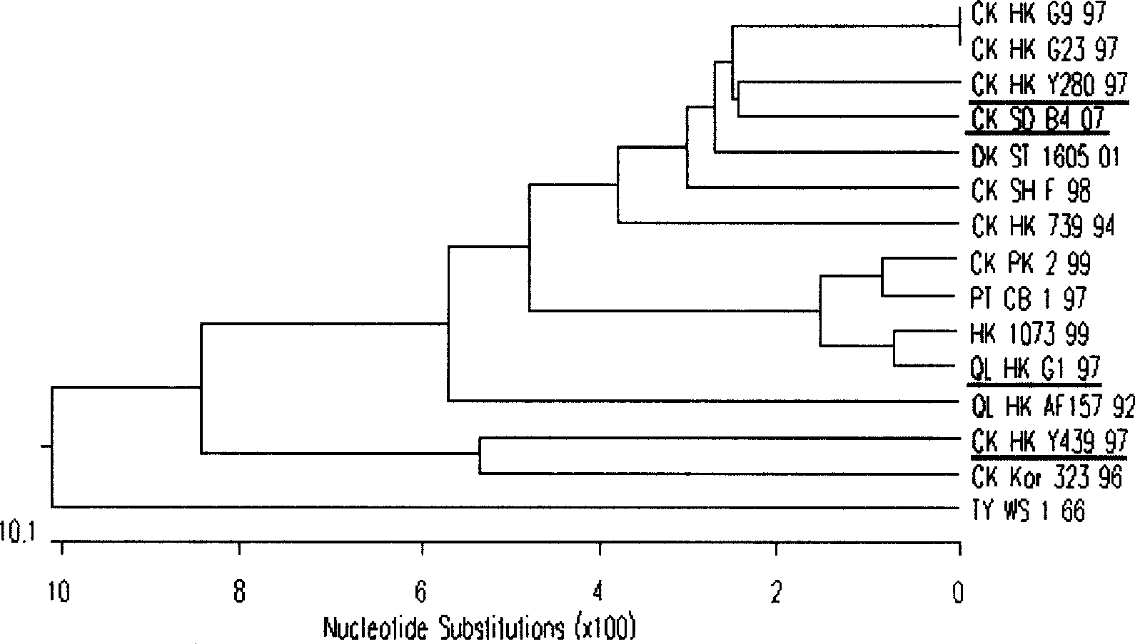 Separation identification and purification process for chicken source H9N2 avian influenza virus strain and uses thereof