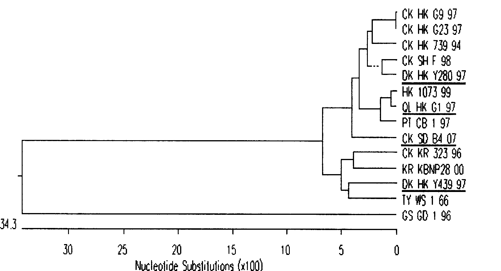 Separation identification and purification process for chicken source H9N2 avian influenza virus strain and uses thereof