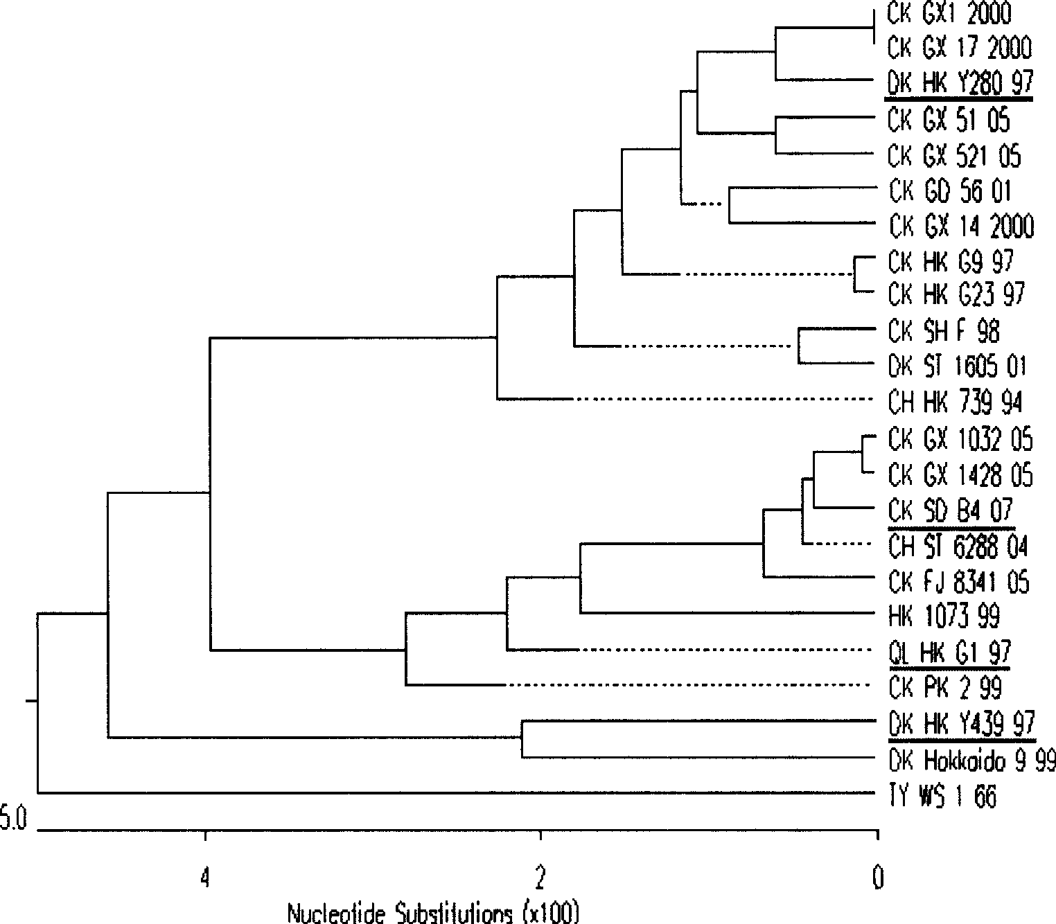 Separation identification and purification process for chicken source H9N2 avian influenza virus strain and uses thereof