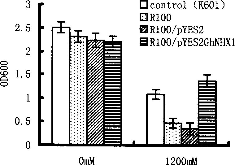 Cotton Na+/H+ reverse transport protein gene and its cloning method and use