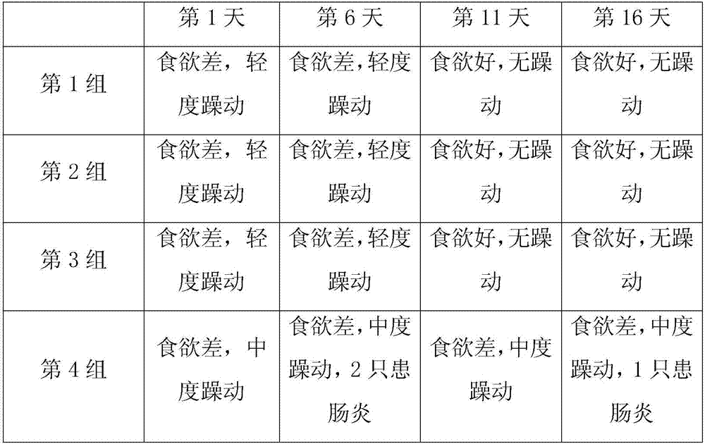 Mixed feed for feeding bamboo rats in summer and its preparation method