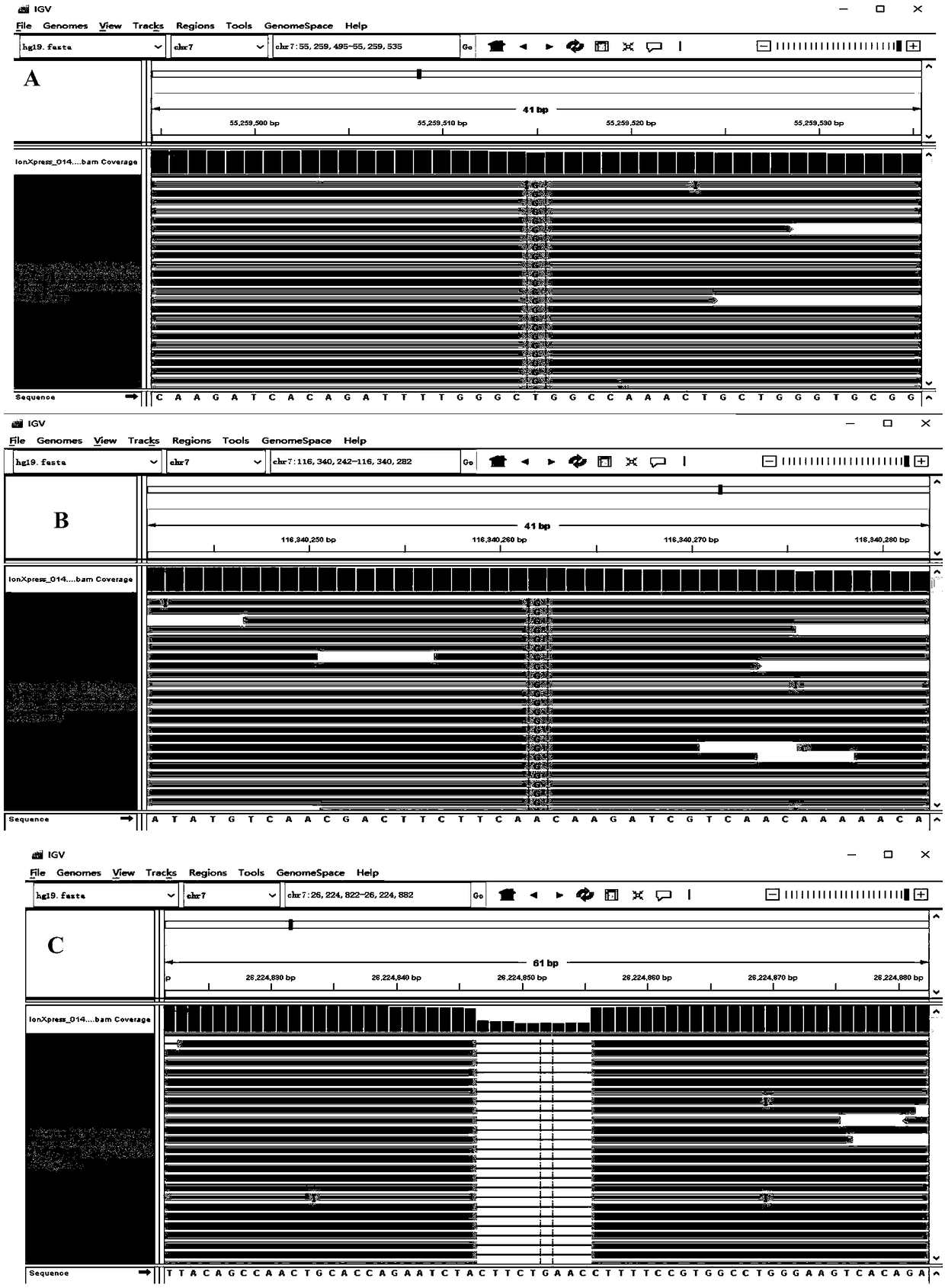 Targeted trapping and sequencing kit for lung cancer-related 285 genes and application of targeted trapping and sequencing kit