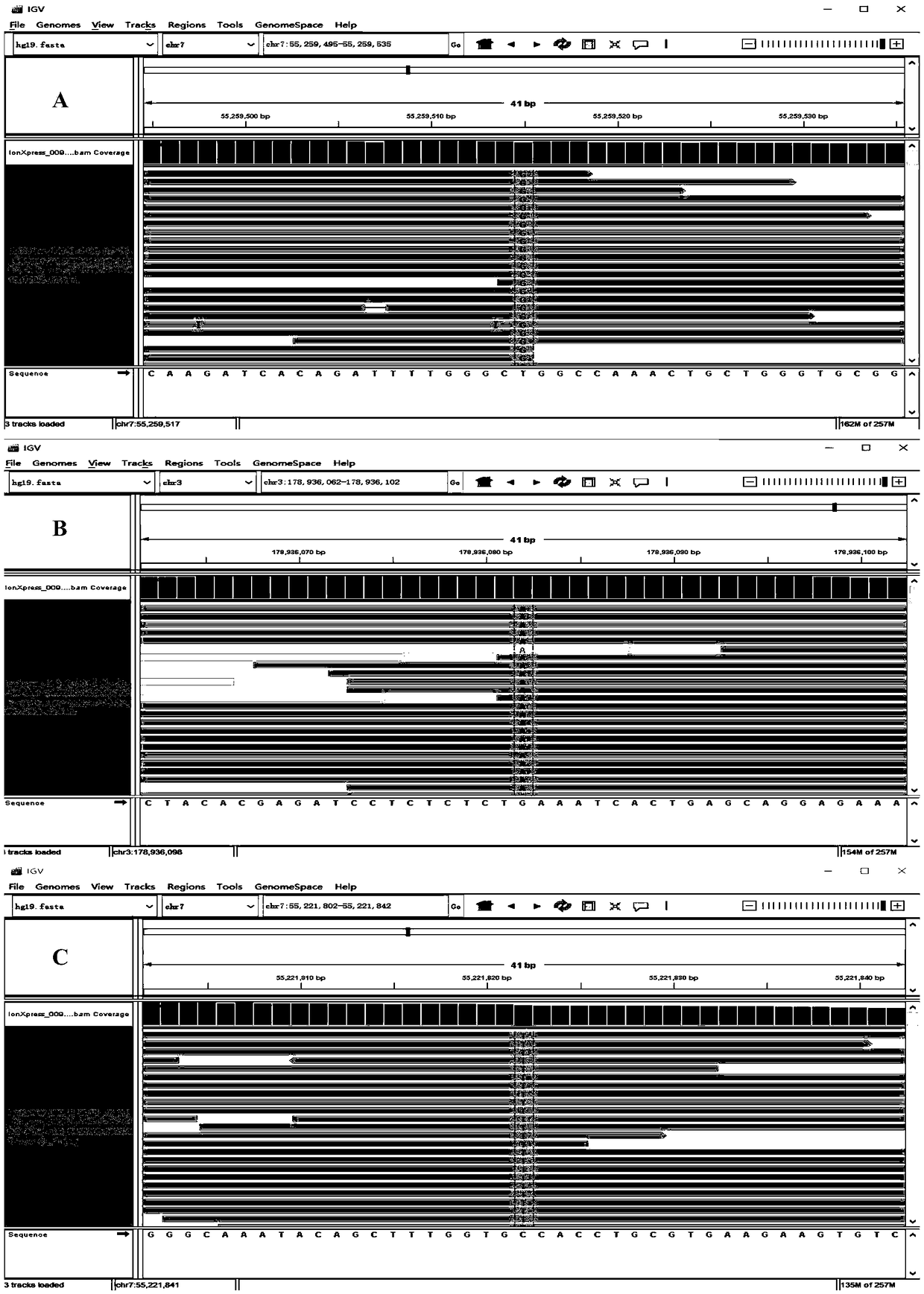 Targeted trapping and sequencing kit for lung cancer-related 285 genes and application of targeted trapping and sequencing kit