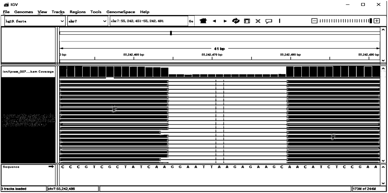 Targeted trapping and sequencing kit for lung cancer-related 285 genes and application of targeted trapping and sequencing kit