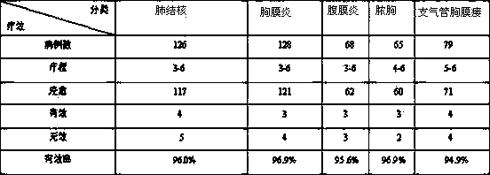 Baibei anti-tuberculosis pill for treating pulmonary tuberculosis, tuberculous pleuritis, peritonitis, empyema and bronchopleural fistula