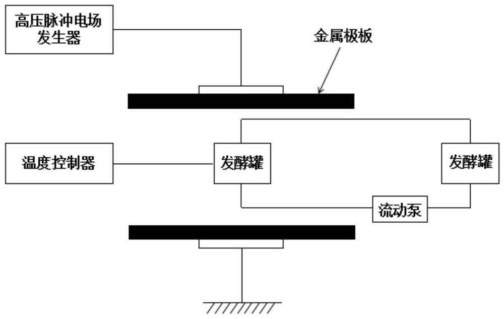 A method for promoting the proliferation and fermentation of Saccharomyces cerevisiae by using high-voltage pulsed electric field