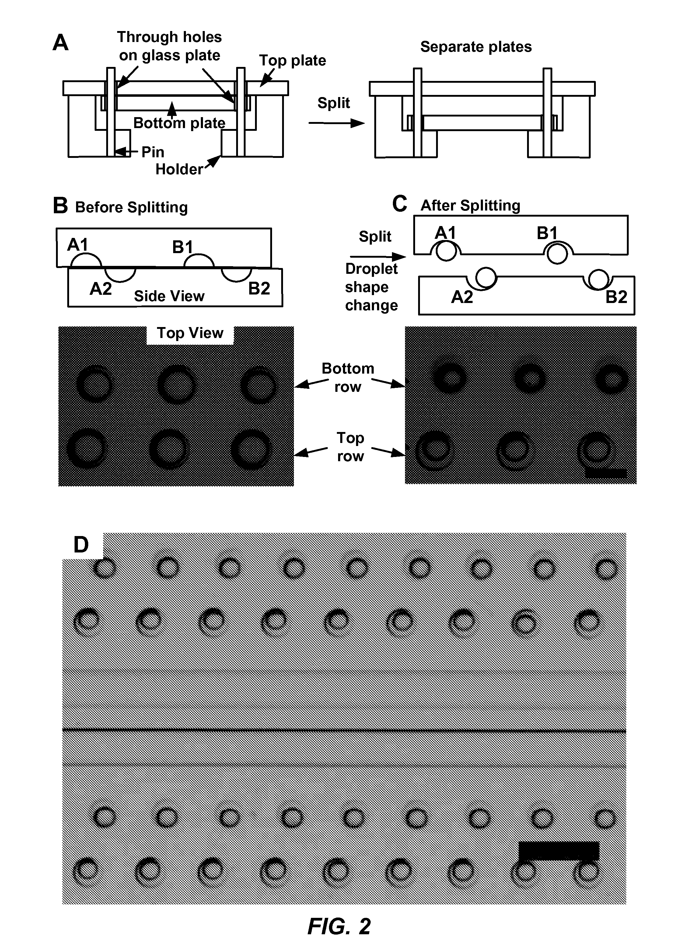 Parallelized sample handling