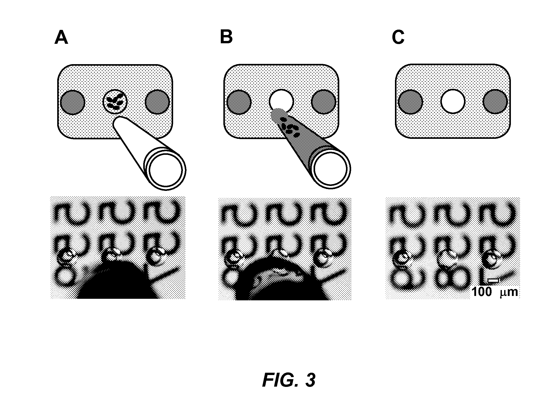 Parallelized sample handling