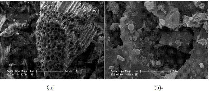 Method capable of improving methane yield in sludge anaerobic digestion process and enhancing heavy metal stabilization process