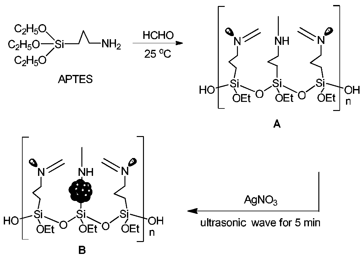 a co  <sub>2</sub> Synthesis of Alkynoic Acid Catalyst and Its Preparation and Application