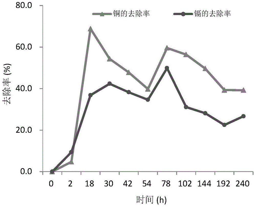 Method and device for synchronously removing multiple heavy metal pollution in agricultural non-point source sewage