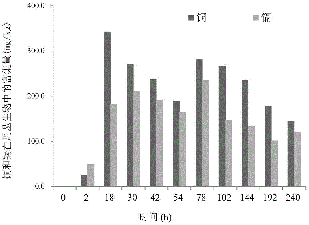 Method and device for synchronously removing multiple heavy metal pollution in agricultural non-point source sewage