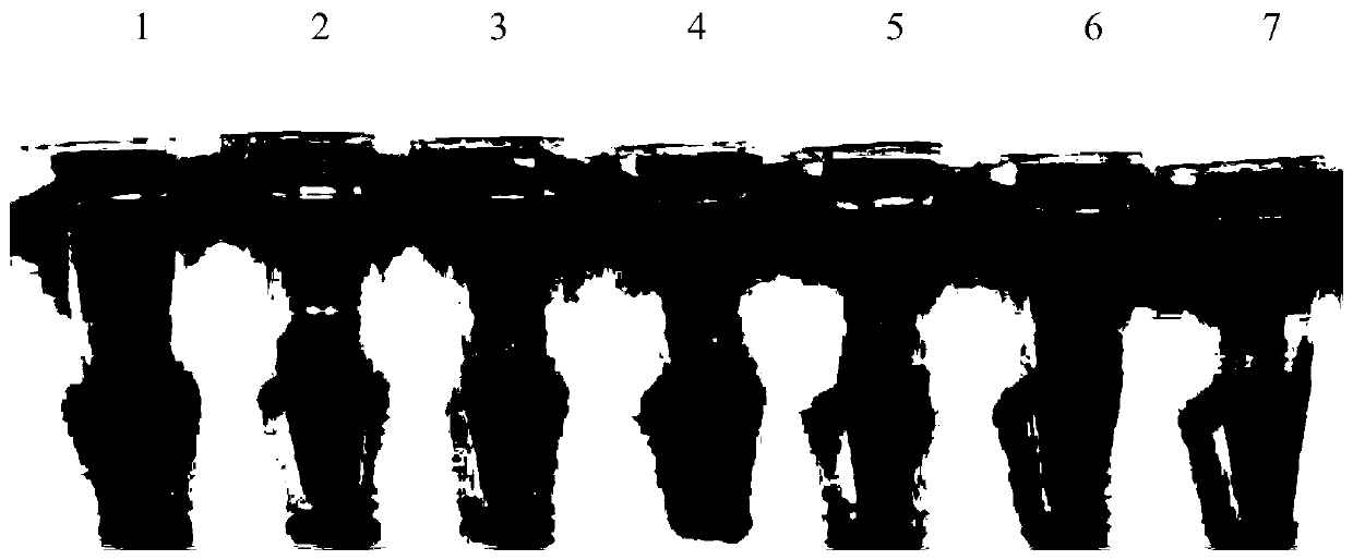 Colloidal gold visual detection method for Micropterus salmoides iridovirus and probe for method