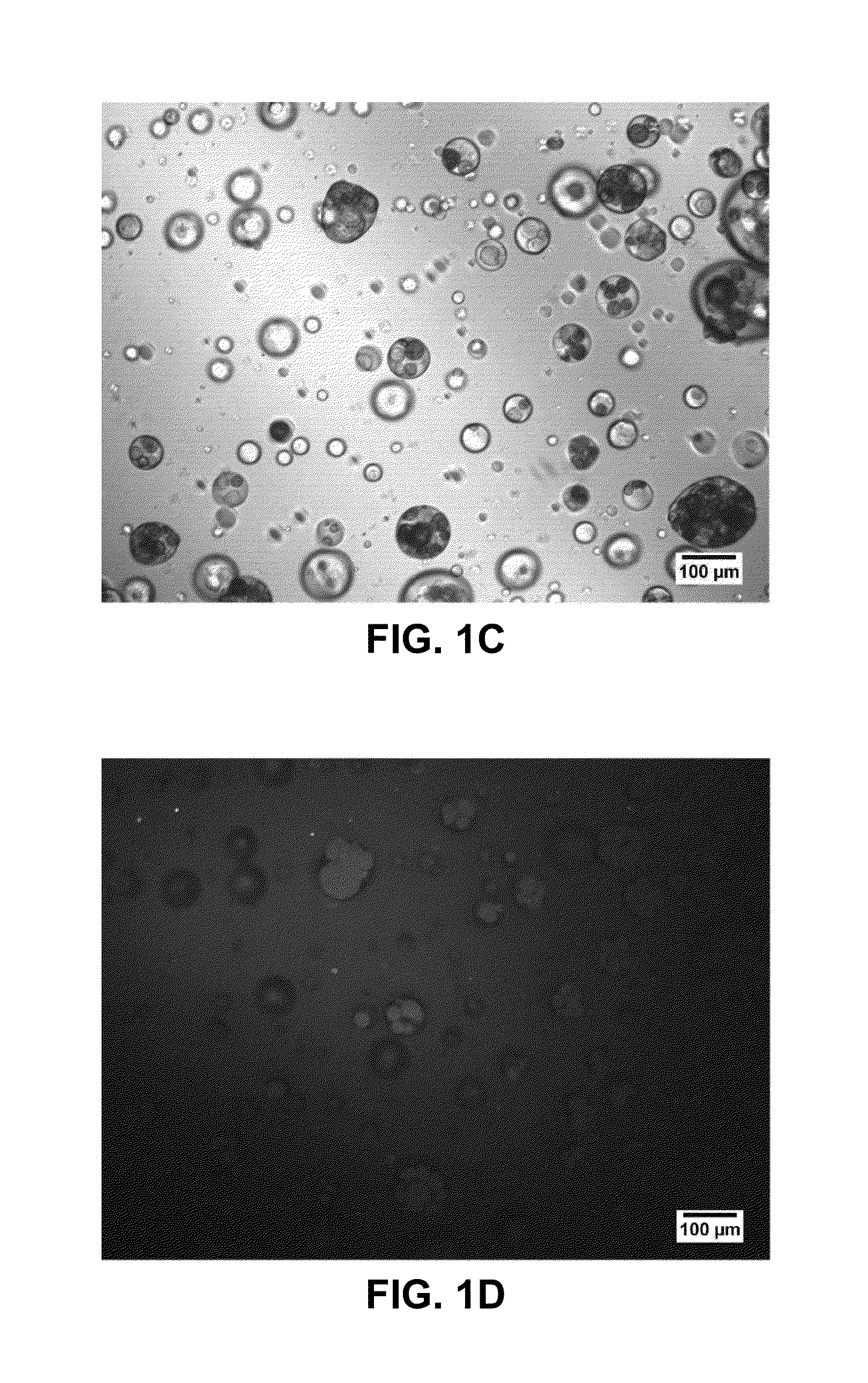 Dosage form comprising an active ingredient and a plurality of solid porous microcarriers