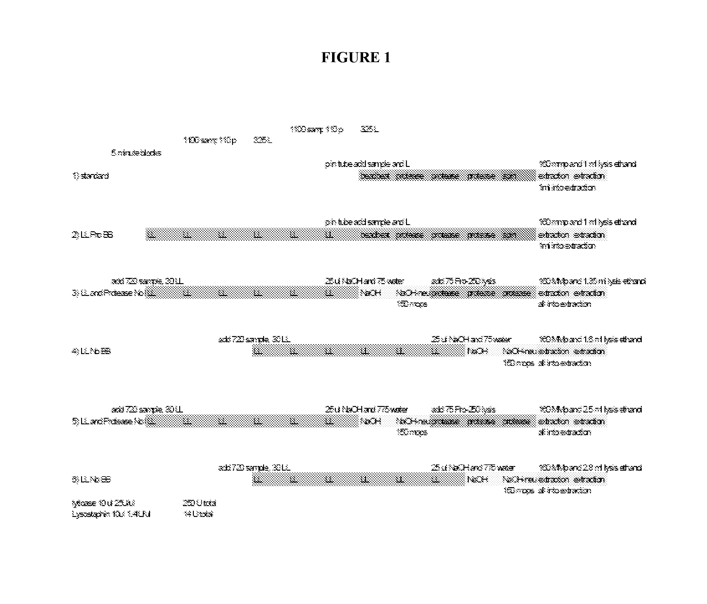 Fungal nucleic acid extraction