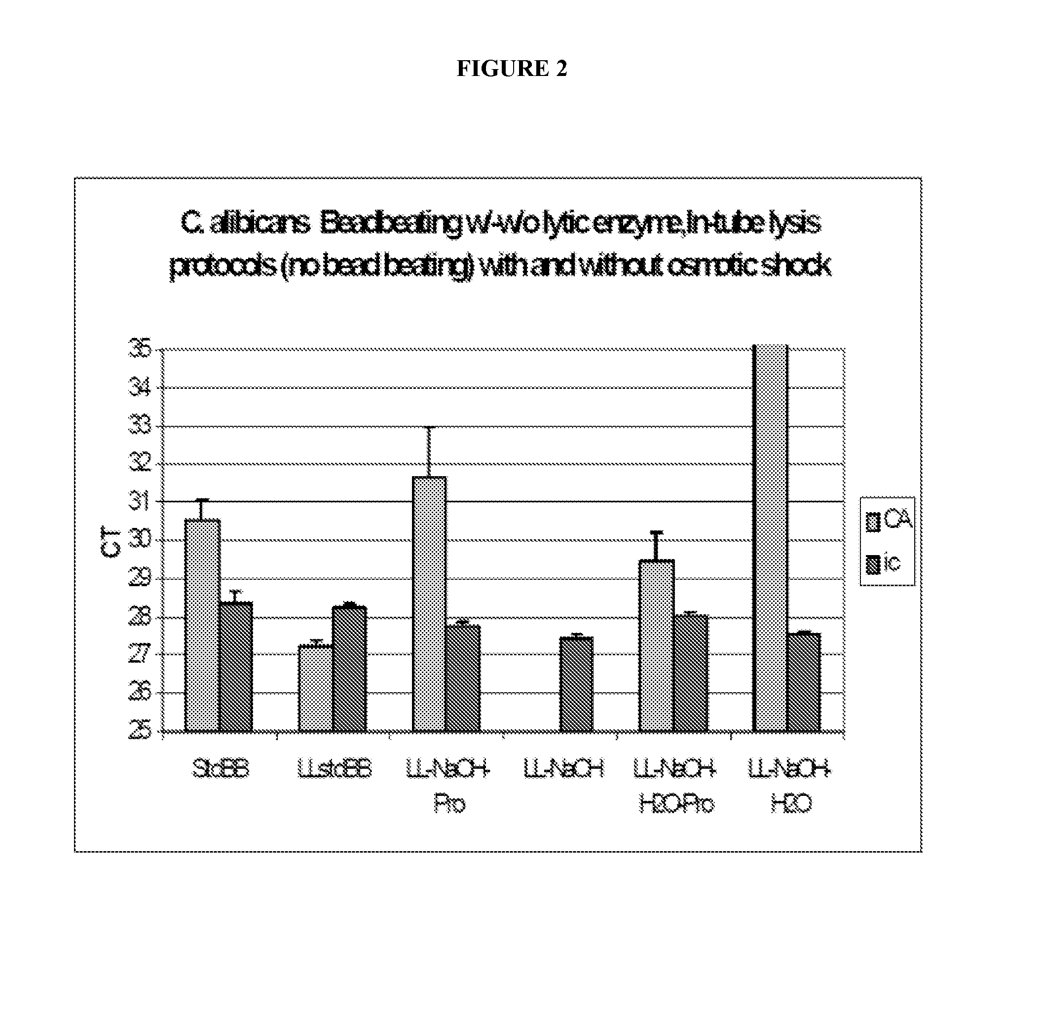 Fungal nucleic acid extraction