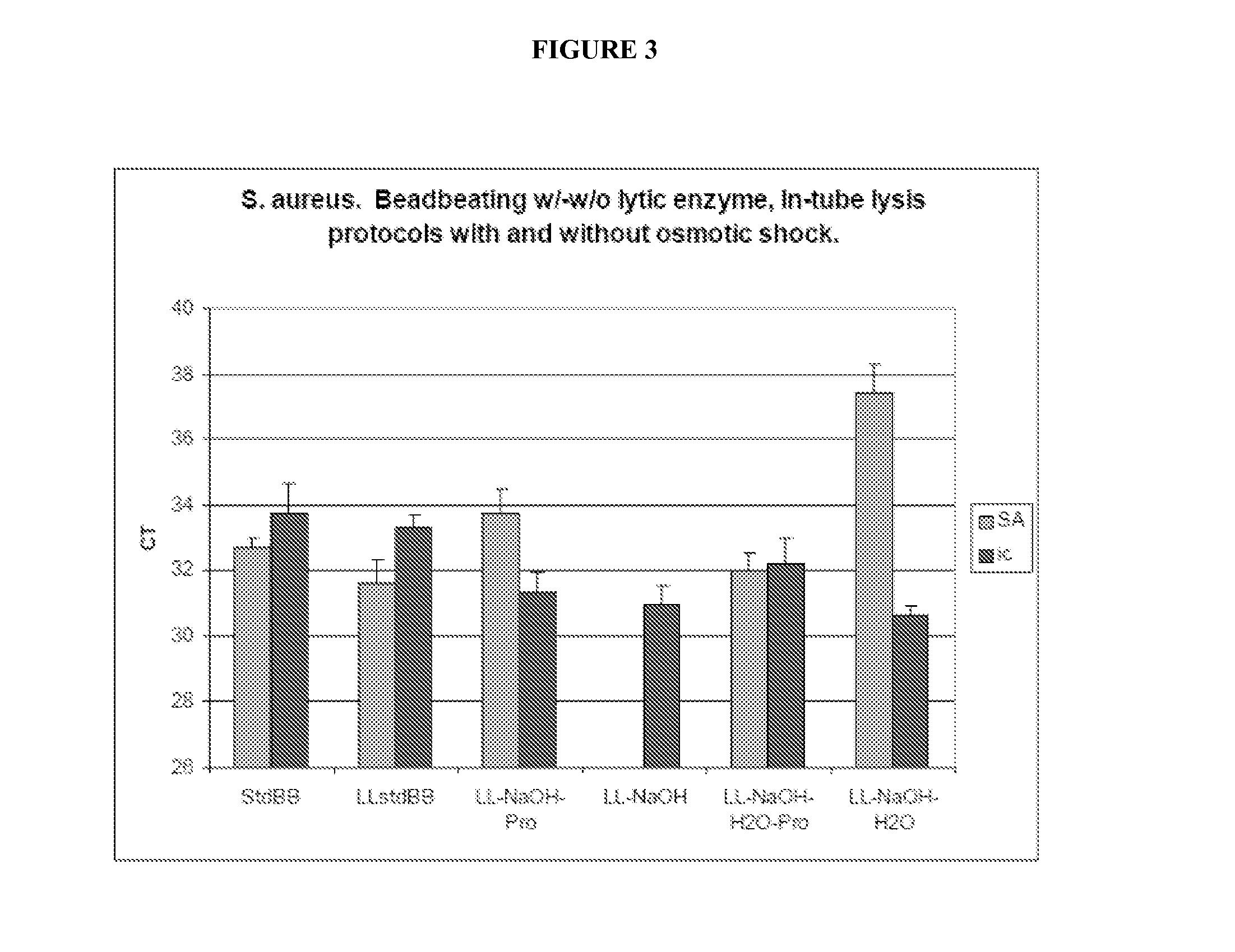 Fungal nucleic acid extraction