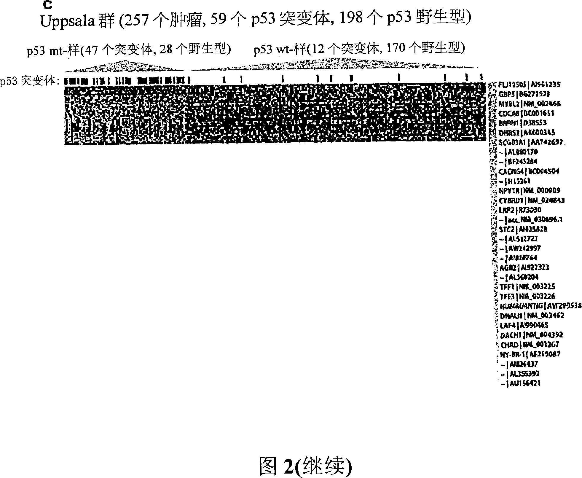 Methods, systems, and arrays based on correlating p53 status with gene expression profiles, for classification, prognosis, and diagnosis of cancers