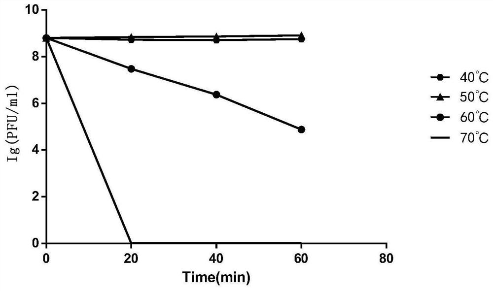 Novel Vibrio cholerae Phage and Its Application