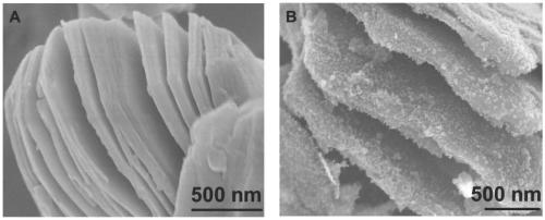 Electrocatalytic material for converting nitrogen gas into ammonia gas