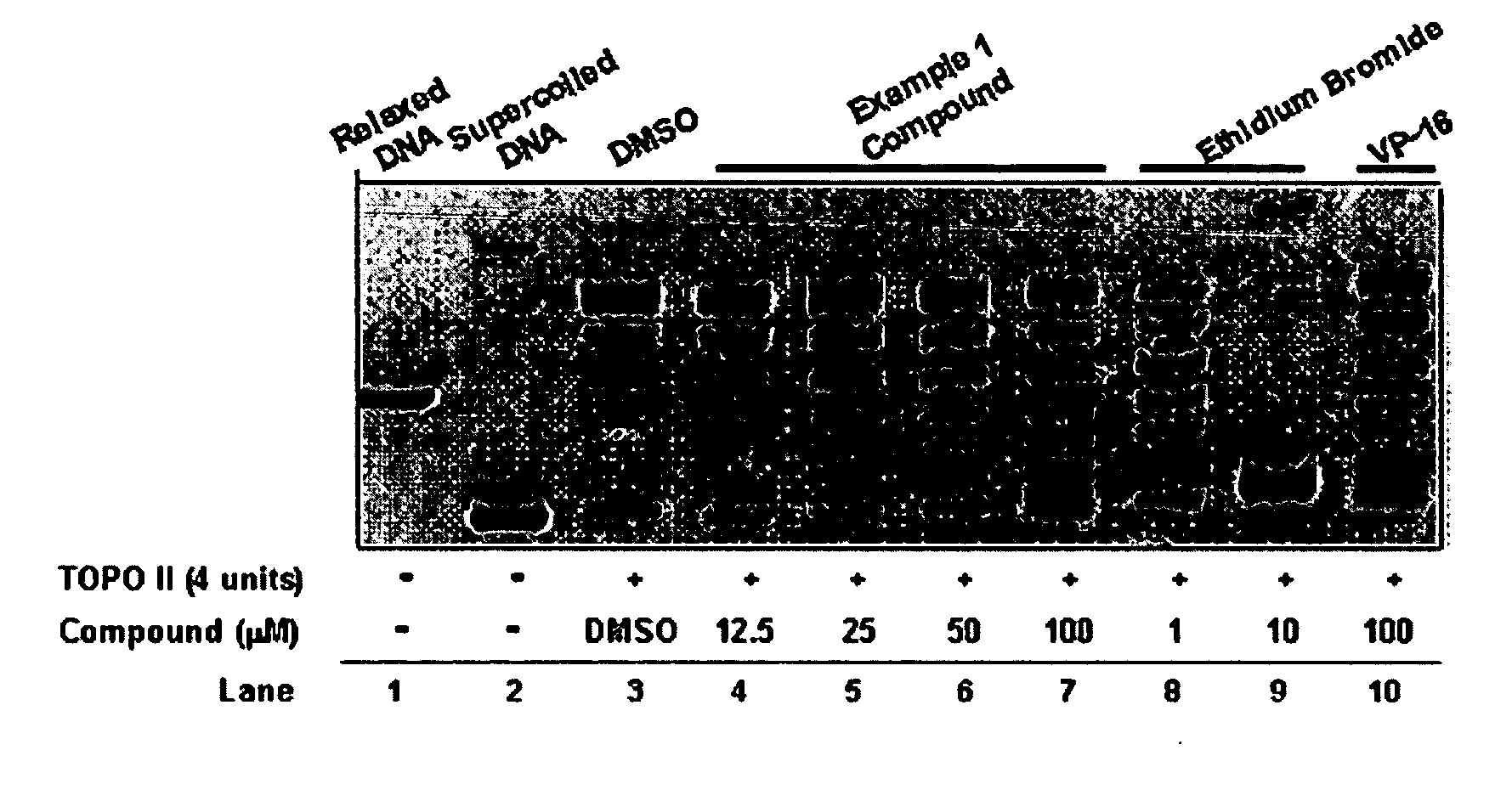 Compounds and therapeutical use thereof