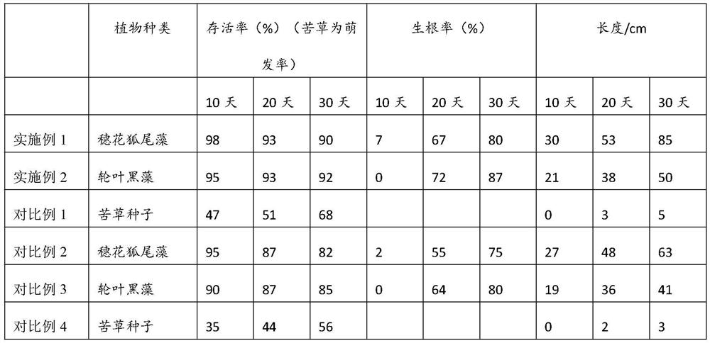 Submerged plant biomass composite base material as well as preparation method and application thereof