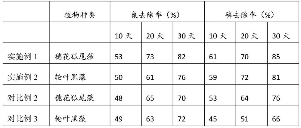 Submerged plant biomass composite base material as well as preparation method and application thereof