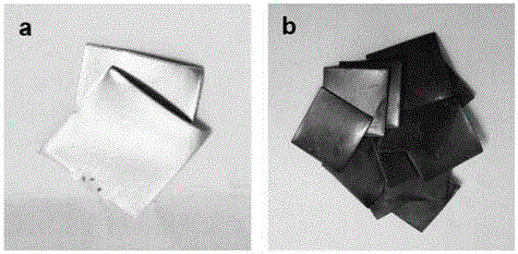 Preparation method and application of air purifying material