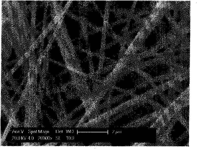 Nanofiber vascular prostheses and preparation method