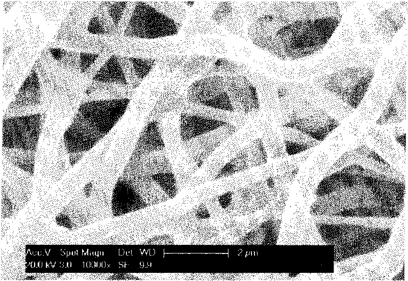 Nanofiber vascular prostheses and preparation method