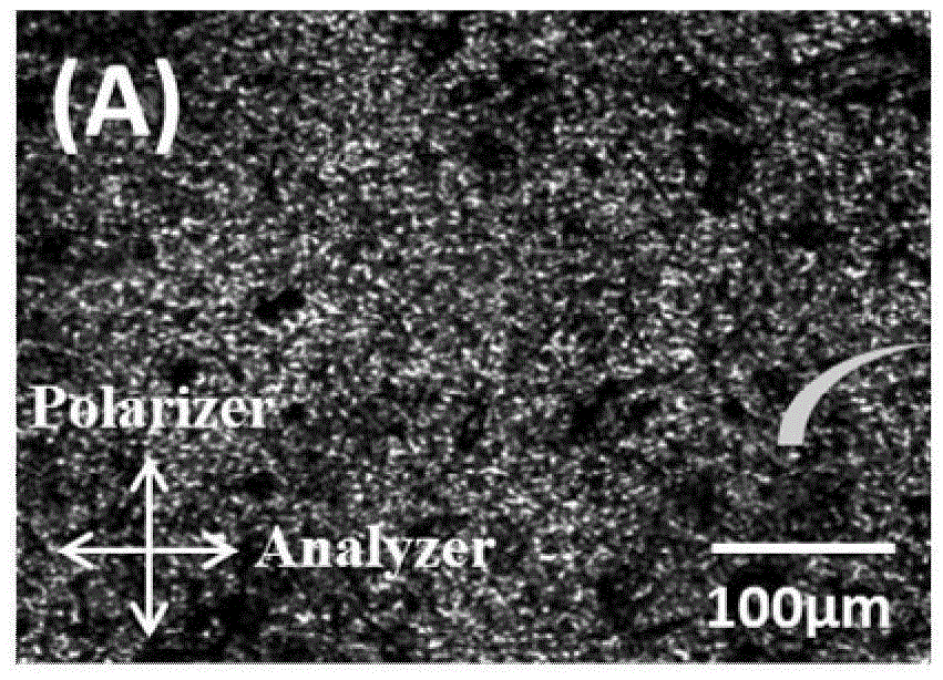 Polyaniline/liquid crystal elastomer composite membrane material and preparation method thereof