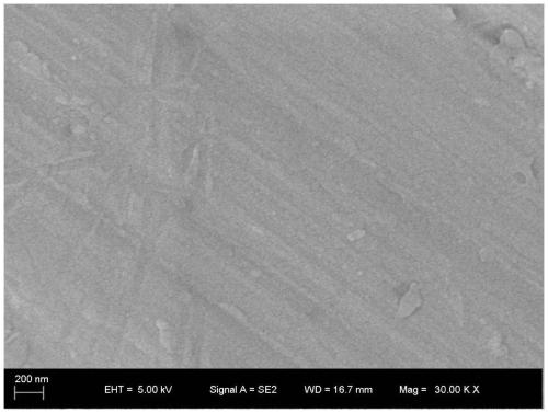 Preparation method of titanium alloy material with good biocompatibility and antibacterial function coating