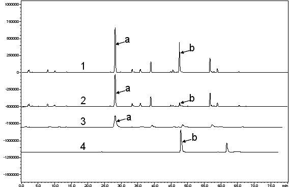 Method for extracting scutelloside and scutellarin from baikal skullcap root