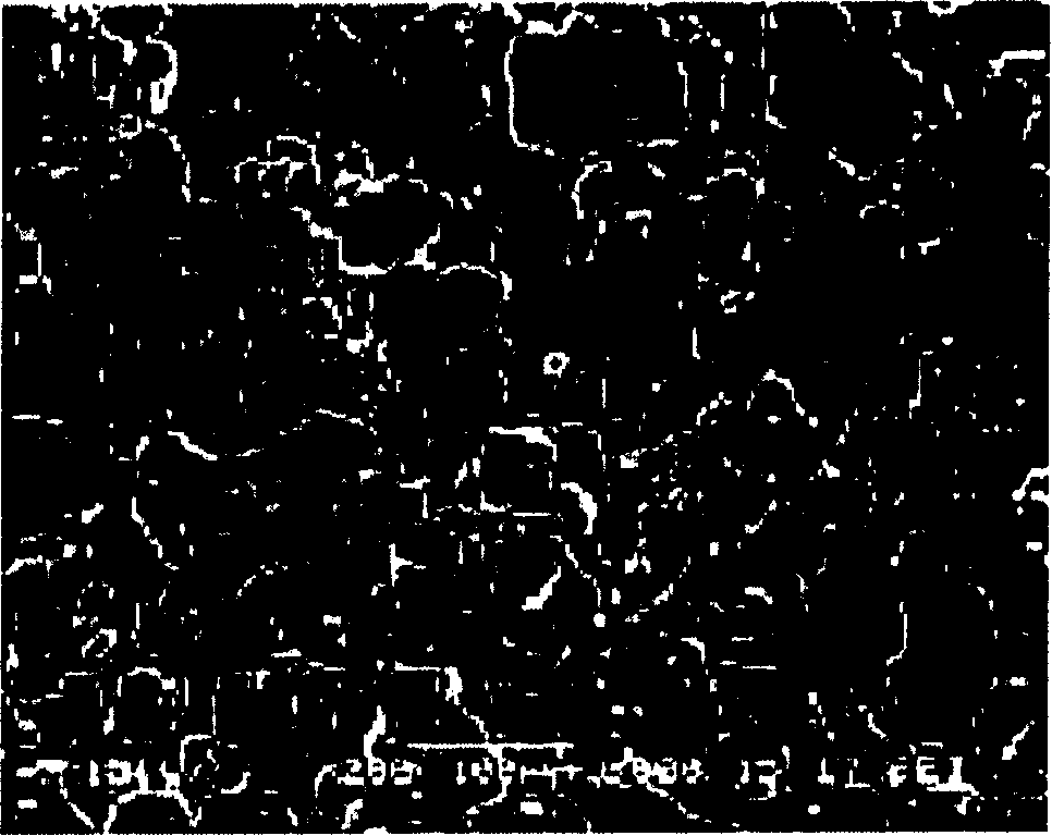 Low infrared emittance chocolate brown sheet-like pigment and method for preparing same