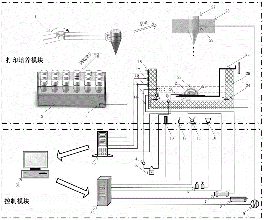 A system and method for in vitro printing and culturing of brain-like tissue