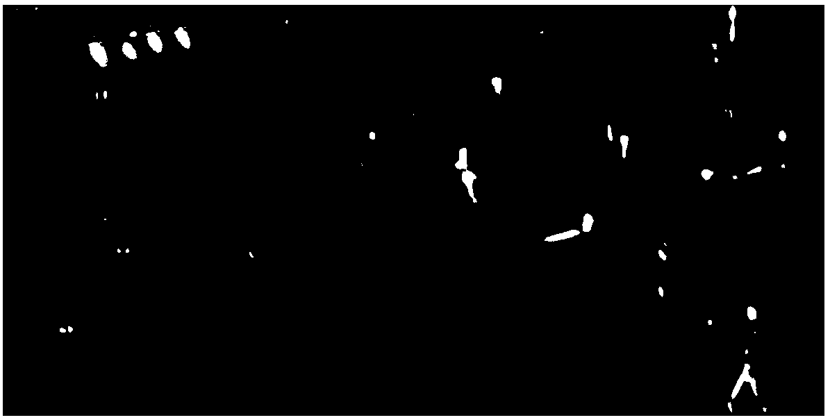 Discriminative dictionary learning based multi-source image fusion denoising method