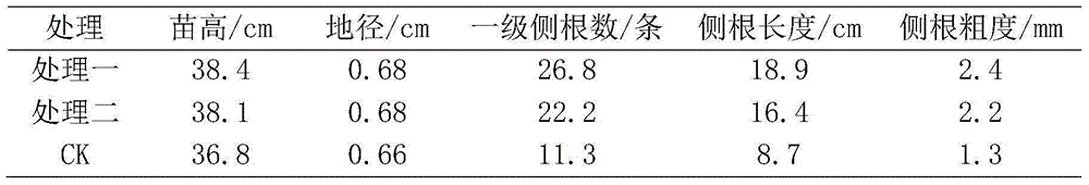 Root cutting method for apocarya