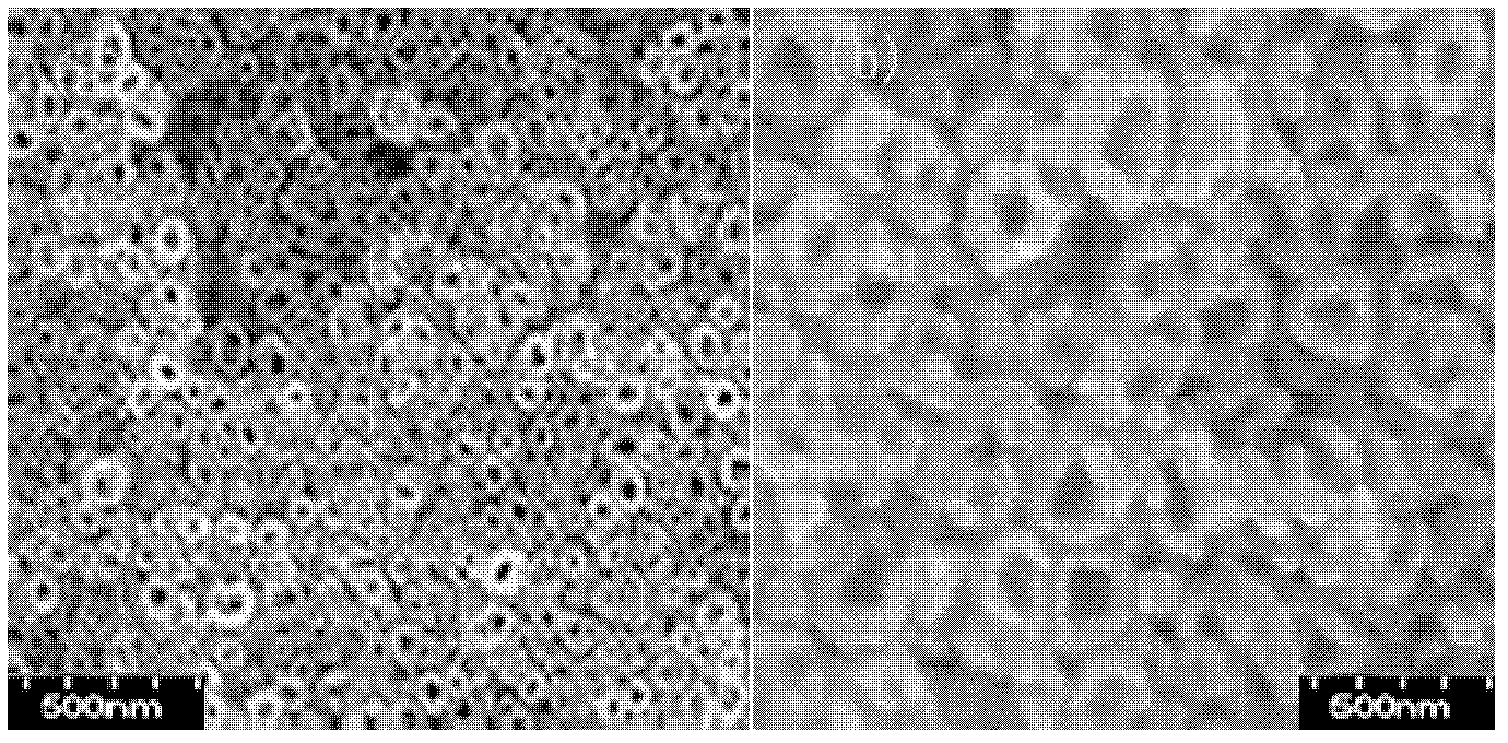 Metal oxide modified TiO2 nanometer tube array electrode and preparation method thereof