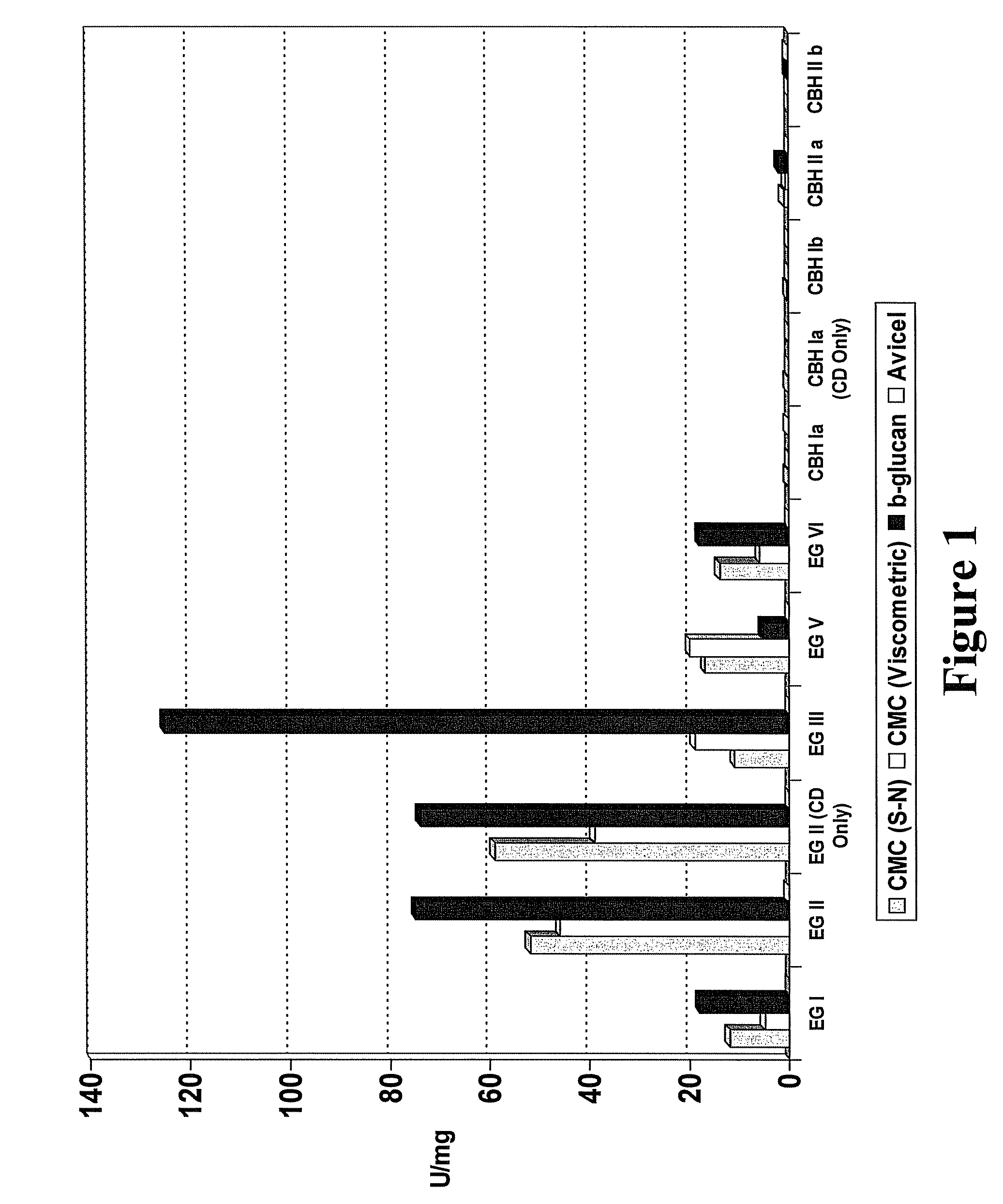 Fungal enzymes