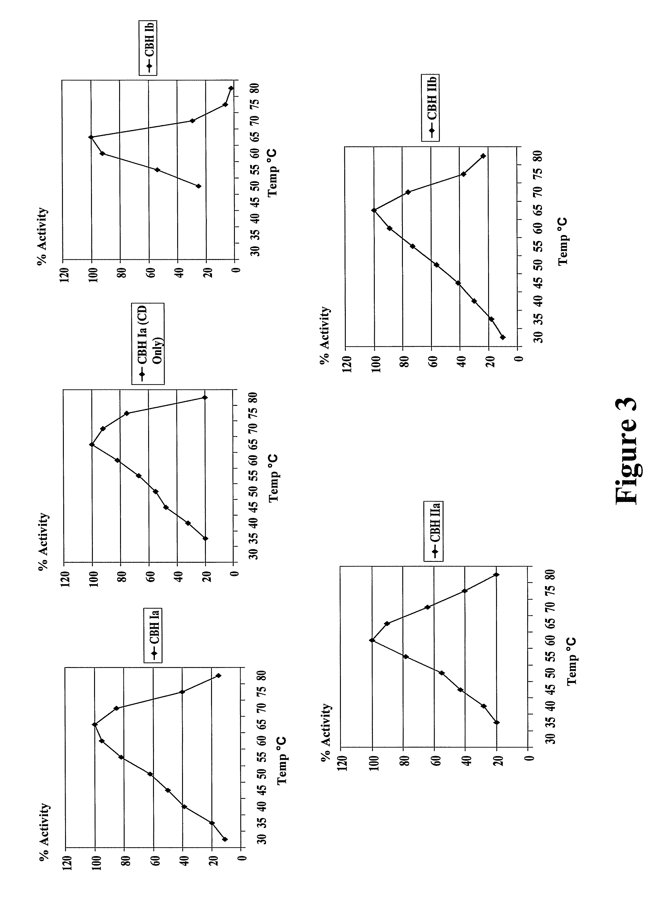 Fungal enzymes