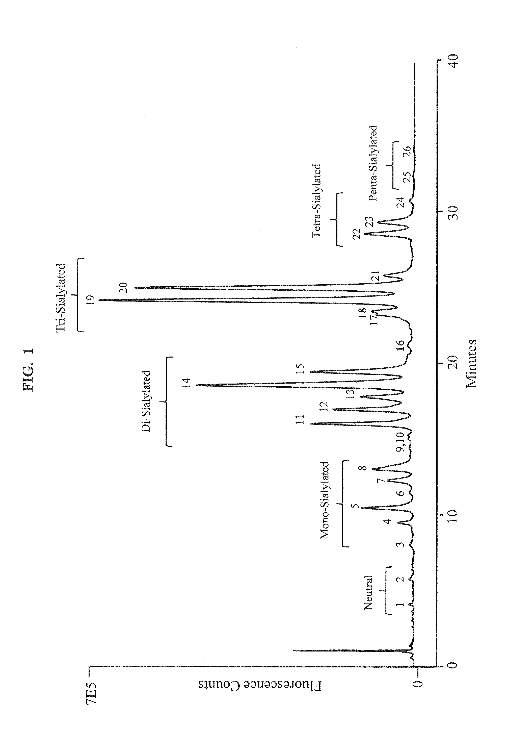 Separation of glycans by mixed-mode liquid chromatography