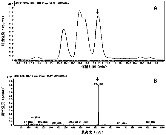 White tea manufacturing time determination method based on year white tea characteristic compound