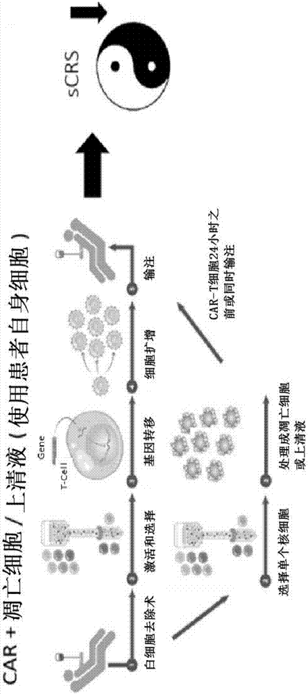 Combination immune therapy and cytokine control therapy for cancer treatment