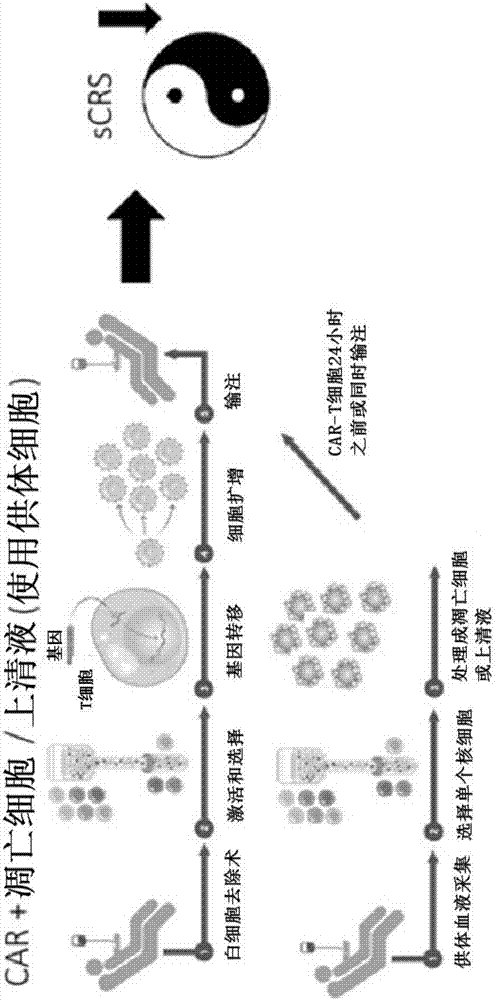 Combination immune therapy and cytokine control therapy for cancer treatment