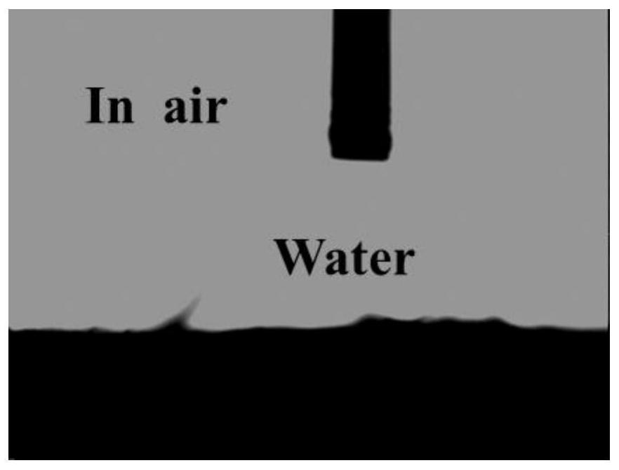 Diatomite-based filter paper as well as preparation method and application thereof