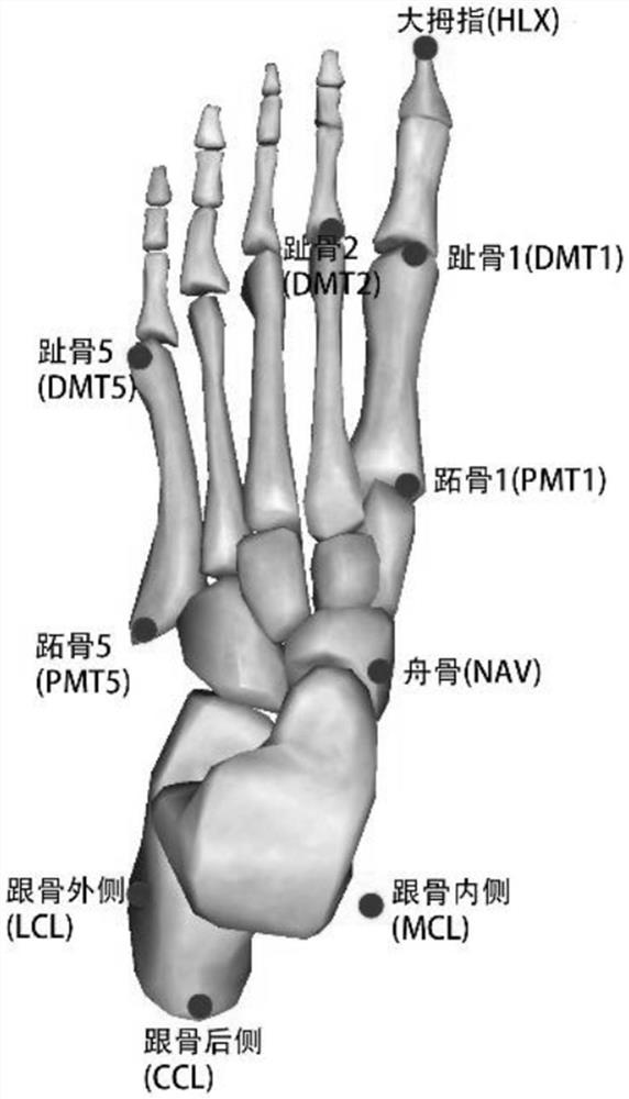 Gait feature extraction and generation method and system for ankle ligament injury