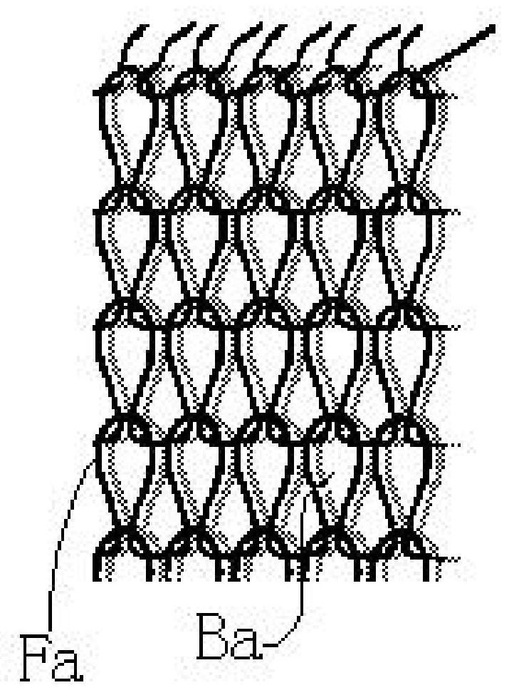 Integrated braided fabric with accessories and braiding method