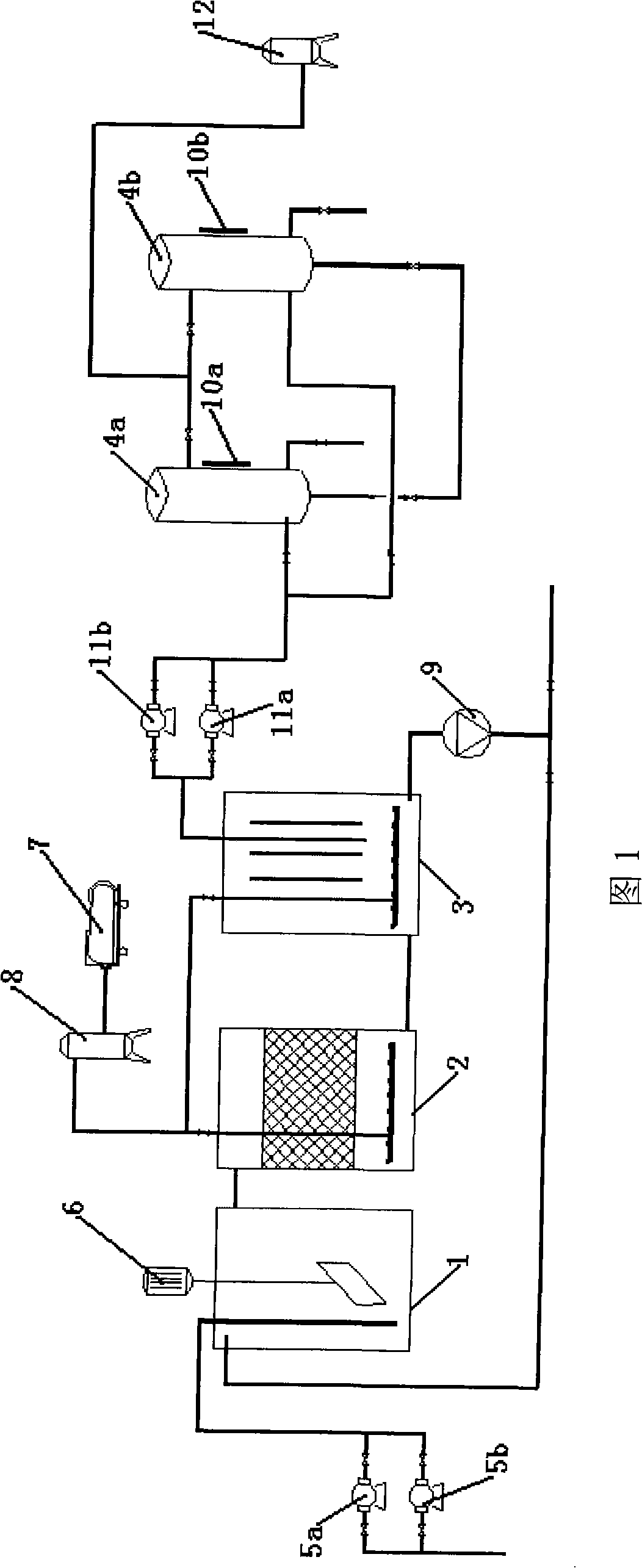 Method and device for removing nitrogen and phosphorus in immobilized phycomycete coupling membrane separation process